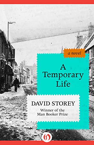 A Temporary Life: A Novel
