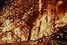Classic Natural Disaster Films DVD: Footage Includes Tsunamis, Volcanoes, & Hurricane...