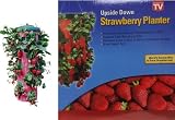 Upside Down Strawberry Planter