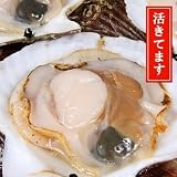 [甘みが凝縮されてます]三陸産　活ホタテ(Lサイズ)5枚+ホタテナイフ
