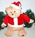 Bär mit Musik und Bewegung 25cm #XW547842B