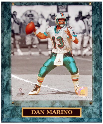 Dan Marino Miami Dolphins (Spotlight) Licensed 8x10 Photo Plaque