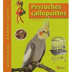 Perruches callopsittes