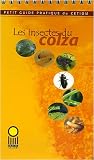 Les insectes du colza