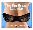 The Big Breast Calendar 2009 (Tear Off Calendar)