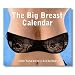 The Big Breast Calendar 2009 (Tear Off Calendar)