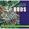 Best Marijuana Growers Books