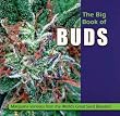 Image of The Big Book of Buds: Marijuana Varieties from the World's Great Seed Breeders