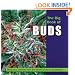 The Big Book of Buds: Marijuana Varieties from the World's Great Seed Breeders