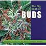 The Big Book of Buds: Marijuana Varieties from the World's Great Seed Breeders (Big Book of Buds)