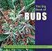 The Big Book of Buds: Marijuana Varieties from the World's Great Seed Breeders