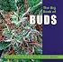 The Big Book of Buds: Marijuana Varieties from the World's Great Seed Breeders