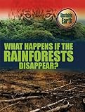 What happens if the rainforests disappear?