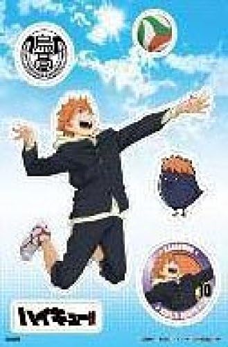 Haikyuu !! Charapeta Sticker Sheet Seal Shoyo Hinata Msize Anime Goods