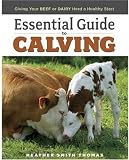 Essential Guide to Calving: Giving Your Beef or Dairy Herd a Healthy Start