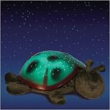 Twilight Ladybug