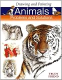 Drawing and Painting Animals: Problems & Solutions (Problems and Solutions)