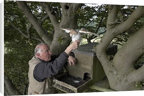 Canvas Prints of Best of British from Country Life 