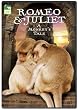 Romeo & Juliet: A Monkey's Tale