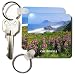 California Coastline With Mountains n Flowers - Set Of 2 Key Chains 513sPw3d04L. SL75 From the Redwoods of <b>California</b> to the Deadwoods of Carolina