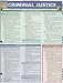 Quick Reference Guide Criminal Justice (Quick Study Academic)