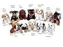 Tomy Nintendog Beanies - Boxer and Miniature Pinscher.