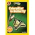 National Geographic Readers: Caterpillar to Butterfly