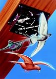 Tools & Hardware : Quadblaster Ultrasonic Bird Repeller