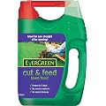 EverGreen Cut & Feed 100 sq m Lawn Food Spreader