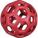 Hol-ee Roller Dog Ball Toy