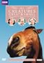 All Creatures Great and Small: Series 5