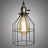 BestOfferBuy インダストリアル　メタル　アイロンワイヤー・ケージ　ランプ・ガード　ランプのかさ　レトロ・ビンテージ・つりランプライト#2　レトロで古い雰囲気を作り出します
