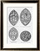 Seals of the University of Oxford, Cambridge, Balliol College, Oxford and University of Prague Framed Art Poster Print by English School, 27x33