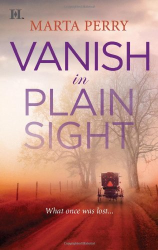 Vanish in Plain Sight (The Brotherhood of the Raven)