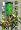 Felknor Ventures FV504C Topsy Turvy Upside-Down Hanging Tomato Planter