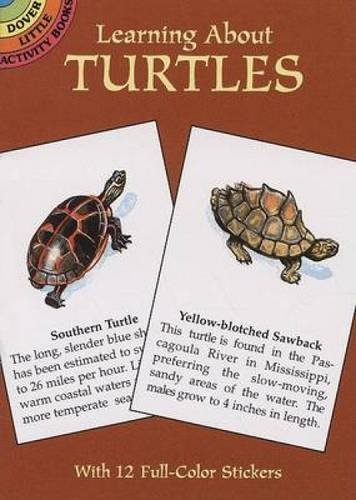 Learning About Turtles (Dover Little Activity Books)