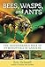 Bees, Wasps, and Ants: The Indispensable Role of Hymenoptera in Gardens
