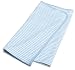 SpaSilk 100% Cotton 2-Ply Receiving Blanket - Boy Stripe Print