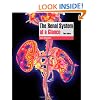 The Renal System at a Glance