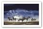 Storm Skittish by Craig Bone 34.75"x20.75" Art Print Poster