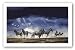 Storm Skittish by Craig Bone 34.75