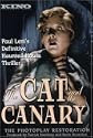 The Cat