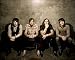 Kings of Leon Photograph - 25cm x 20cm