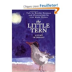 The Little Tern: A Story of Insight