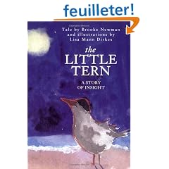 The Little Tern: A Story of Insight