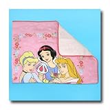 Disney Princess Toddler Quilt