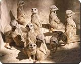 New-Family of Meerkats Computer Mouse Mat Meer Kats Gift