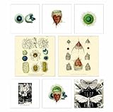 Evolution in Revolution