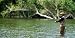 Fly Fishing - 18W x 9H - Peel and Stick Wall Decal by Wallmonkeys