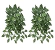 TWO 36" Artificial Arrow Head (Nephthytis) Hanging Bushes